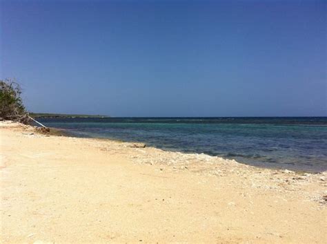 bahia grand nude beach|Grand Bahia Principe Jamaica .